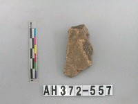 藏品(褐色夾砂陶片)的圖片